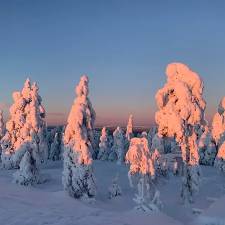 North Saga Luxury Daire