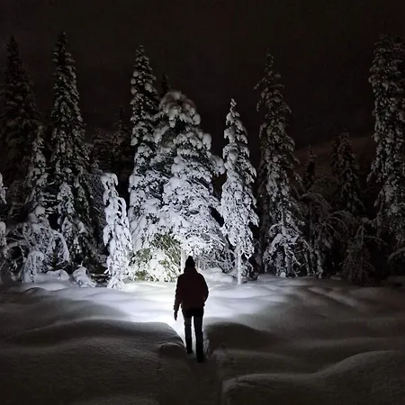 Daire North Saga Luxury