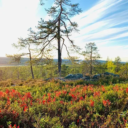 North Saga Luxury Daire Rovaniemi