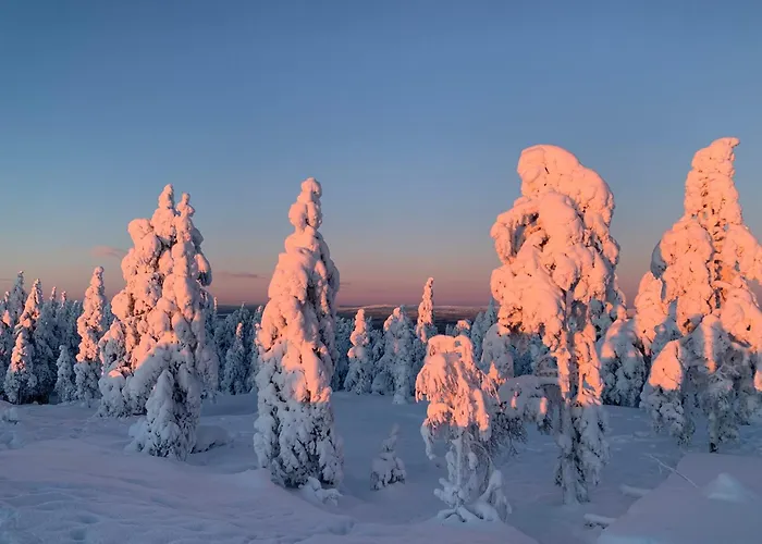 North Saga Luxury Apartamento